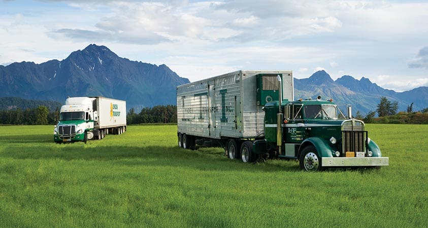 Lynden history photo 2024